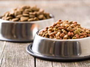 Victor Pet Food: The Ultimate Guide to Quality Nutrition for Your Pets