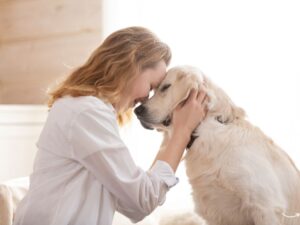 The Ultimate Guide to GNC Pet Wellness Calming Solutions