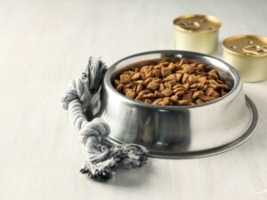 Mid American Pet Food: A Comprehensive Guide