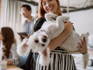 Noblesville Pet Wellness: Ensuring Your Furry Friend’s Health and Happiness