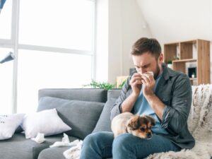 Emergency Animal Hospital: Your Guide to Urgent Pet Care