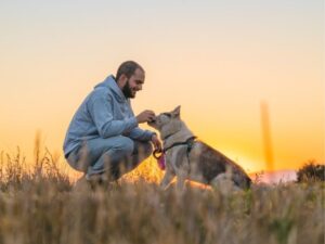 Companion Animal Hospital: A Complete Guide for Pet Owners