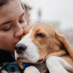 seasonal pet care tips