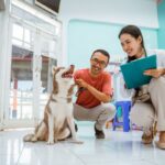 signs of illness in pets