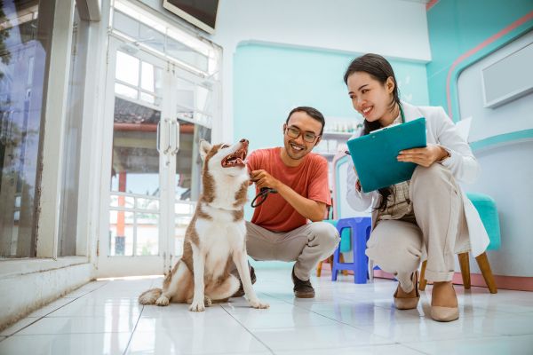 signs of illness in pets