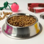 Best food for diabetic cats