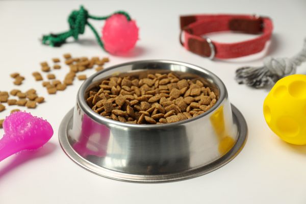 Best food for diabetic cats