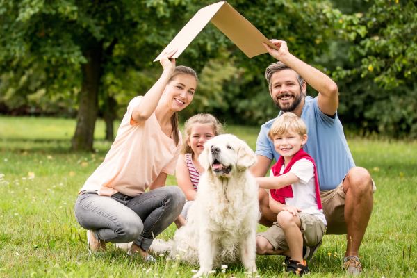 Choosing a family pet
